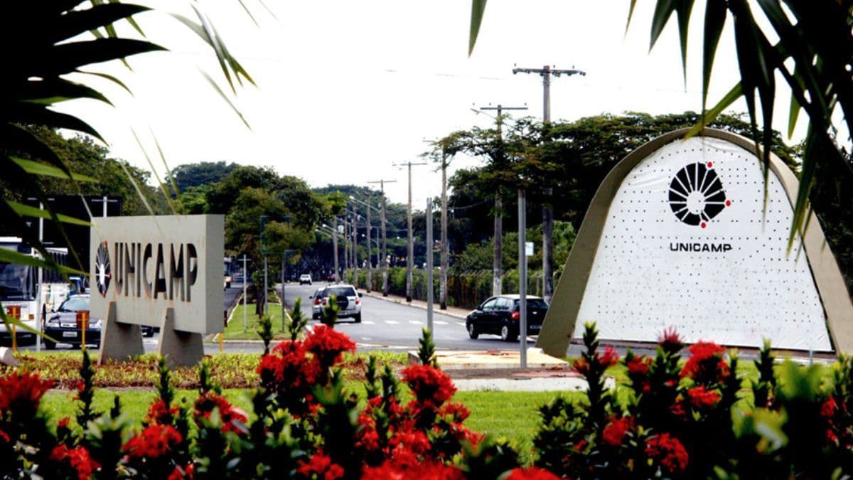 Unicamp integra proposta técnica encaminhada à Anvisa para regulamentação do cultivo de cannabis no Brasil
