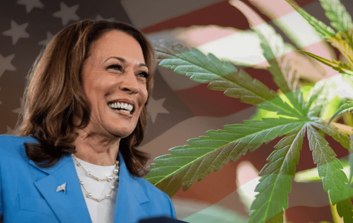 Kamala Harris: "Precisamos Legalizar a Maconha nos EUA"