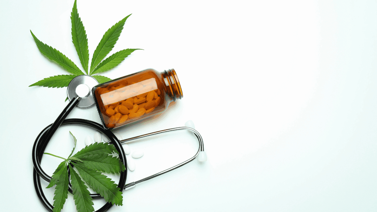 Project with participation of HC of USP and Santa Casa de SP investigates impacts of medicinal cannabis in 2,500 patients