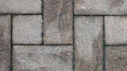 Crisis de vivienda en Portugal: cáñamo, menos burocracia y más innovación