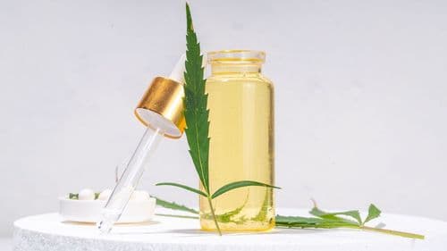 Imagem da noticia: Cannabis is not a “drug”: science and medicine dismantle the stigma