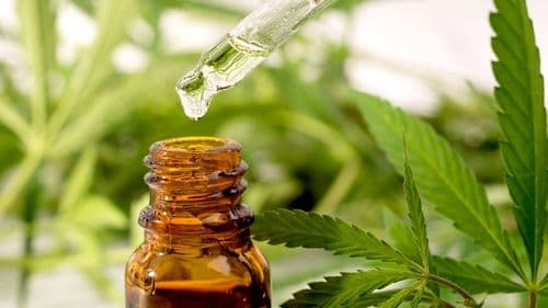 Anvisa concede autorización sanitaria para nuevo producto de cannabidiol de empresa farmacéutica