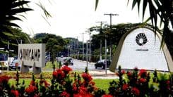 Unicamp integra proposta técnica encaminhada à Anvisa para regulamentação do cultivo de cannabis no Brasil
