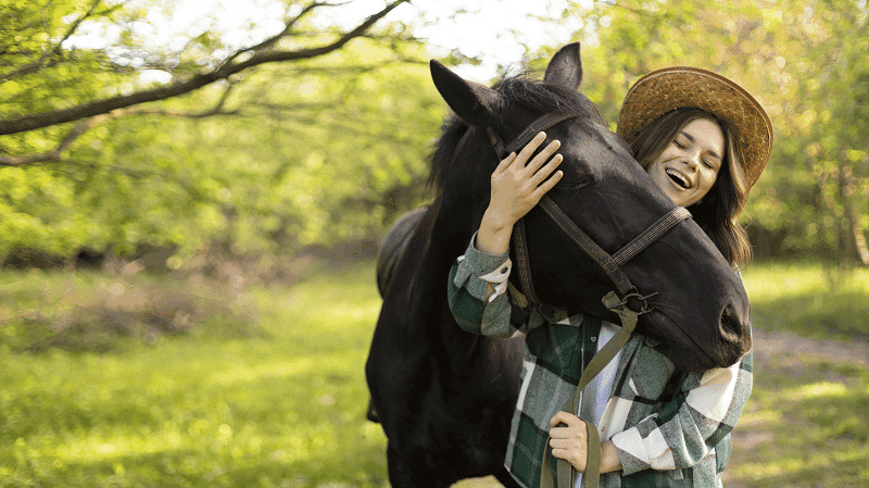 CBD para caballos: estudio abre camino para nuevas investigaciones