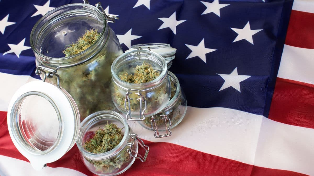New York cannabis market reaches $2 billion in sales
