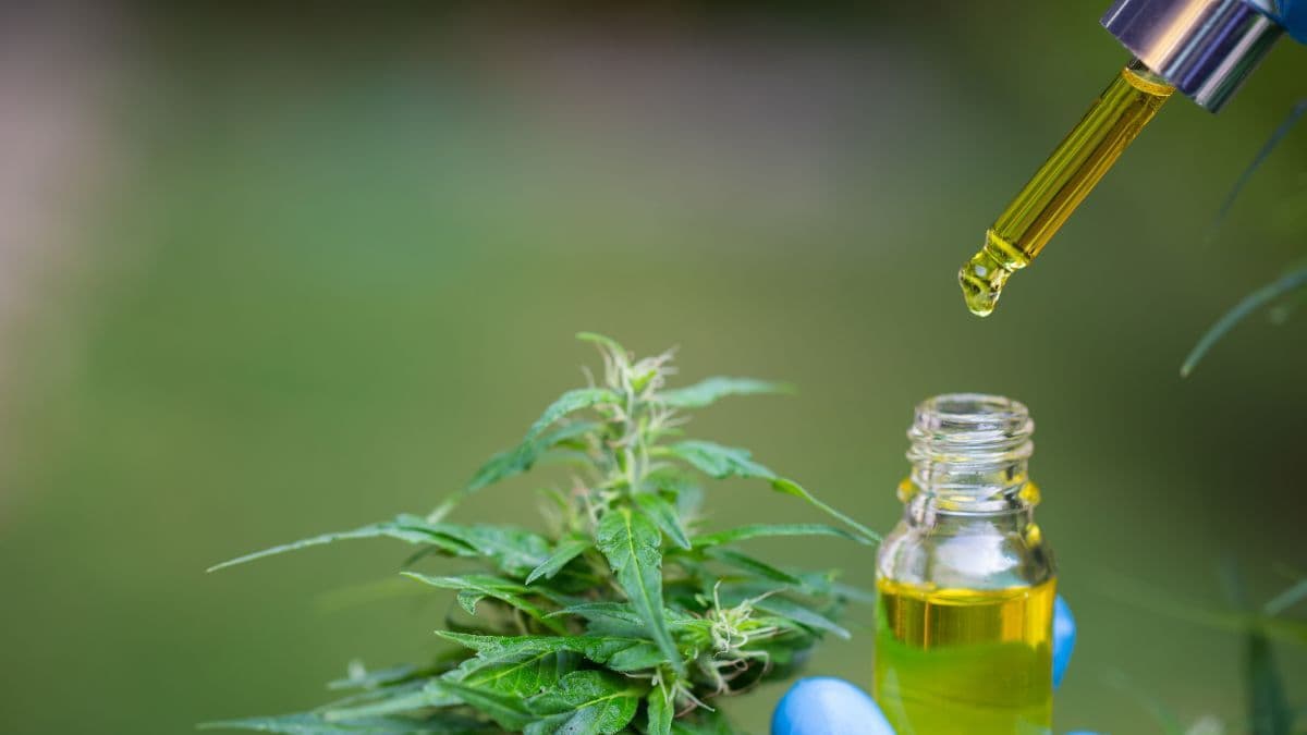 Estudo multicêntrico com cannabis para fibromialgia é travado no Aeroporto Internacional de São Paulo, em Guarulhos (GRU)