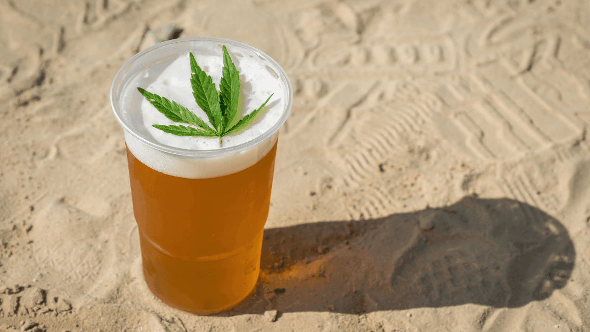 Canopy Growth, líder mundial em cannabis, lança novos sabores de bebidas e amplia portfólio