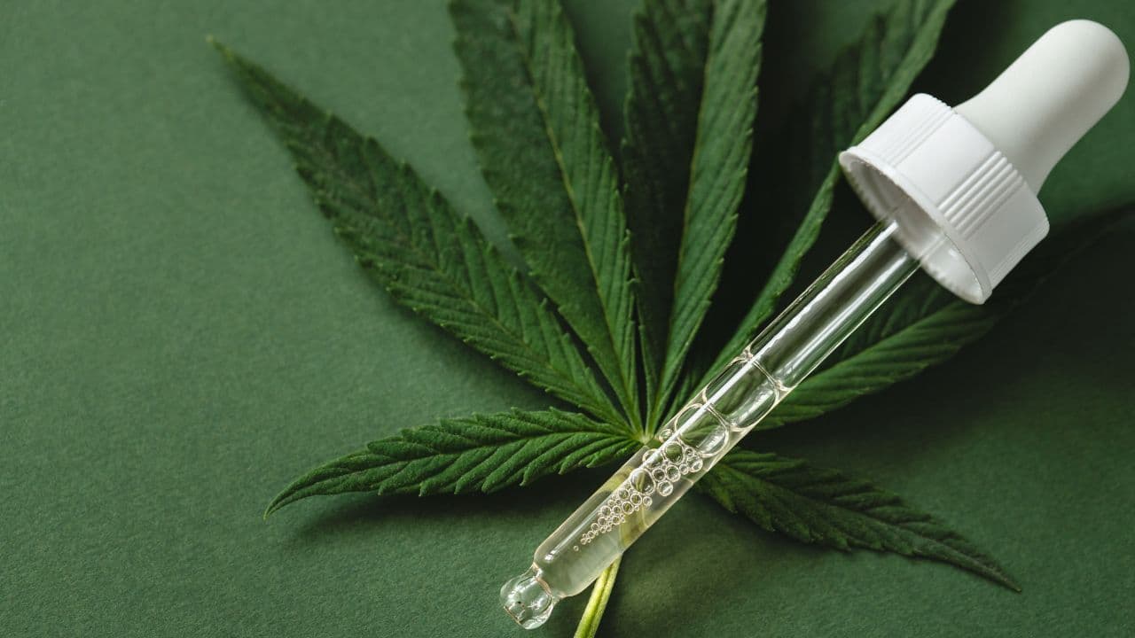 Saiba mais sobre a cannabis