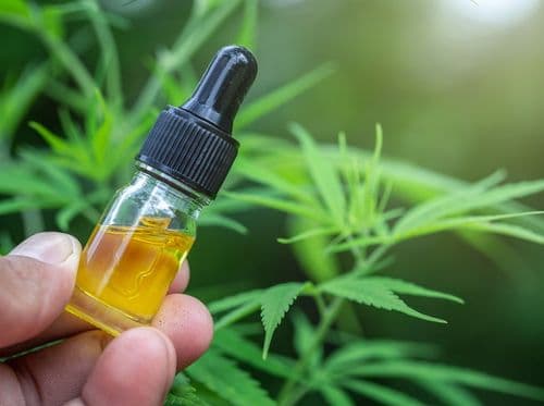 El CBD potencia los efectos del THC en lugar de mitigarlos, según un nuevo estudio sobre cannabis