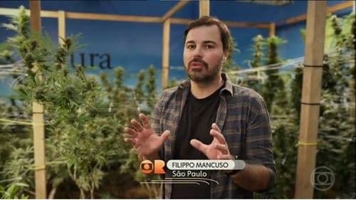 Globo Rural aborda cannabis medicinal y cáñamo industrial en reportaje especial
