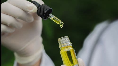 Pesquisa clínica evalúa cannabis en el Alzheimer en Jundiaí